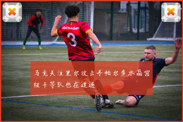 马竞关注里尔攻击手帕尔多水晶宫纽卡等队也在追逐